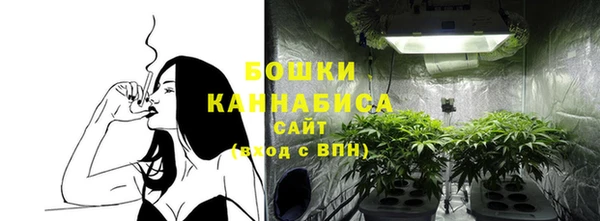 кокс Белокуриха
