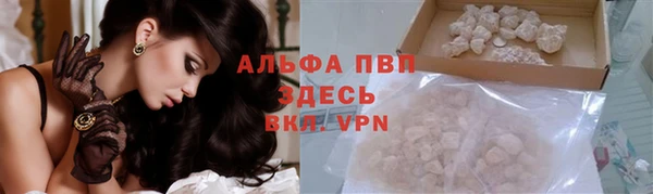 кокс Белокуриха