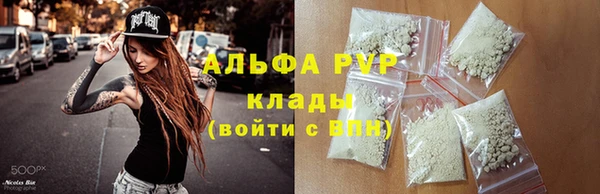 кокс Белокуриха