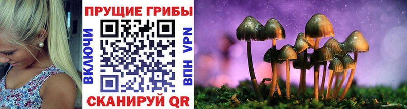 Галлюциногенные грибы мицелий  Красноармейск 
